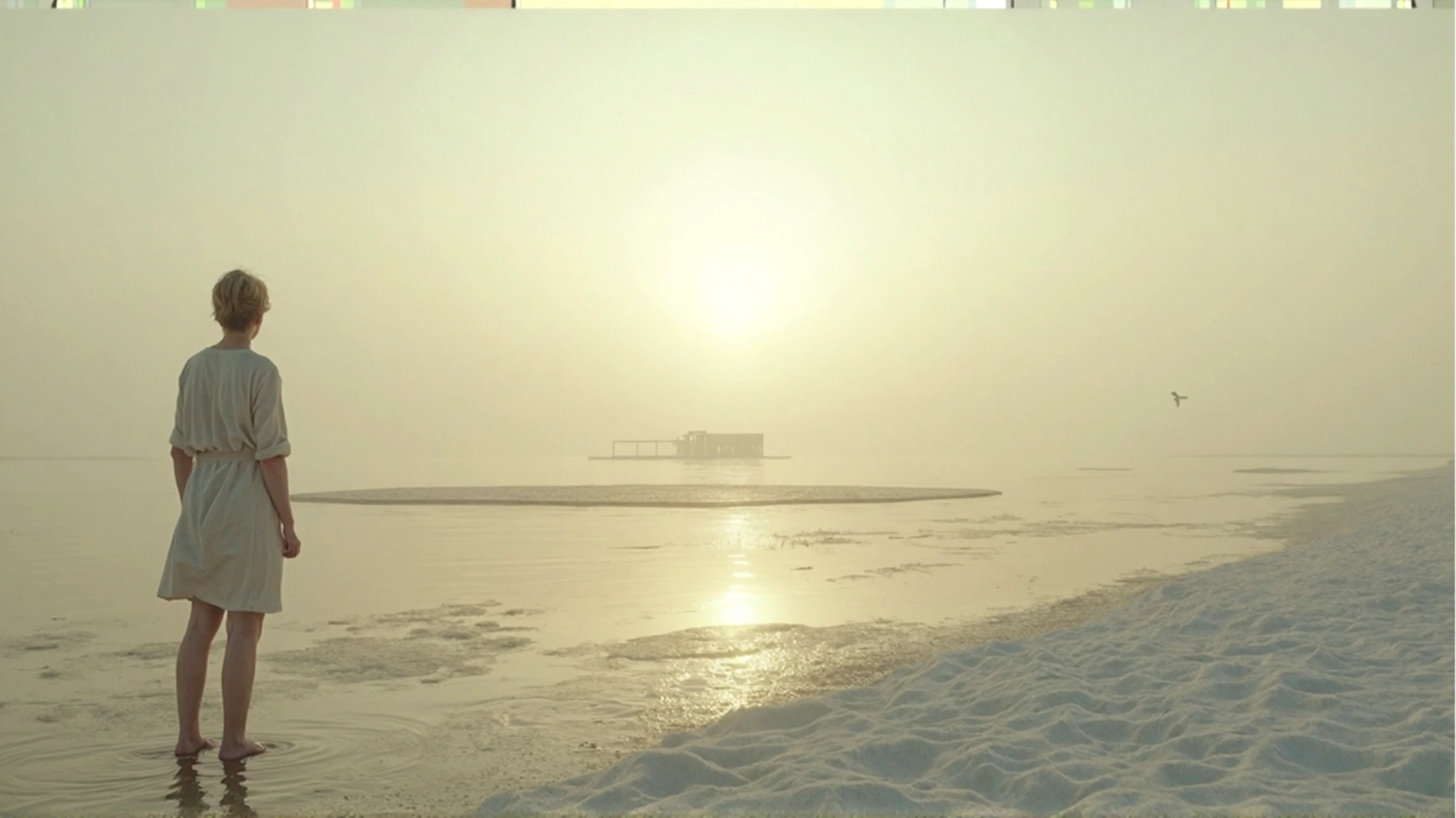 A Deep Dive into Carl Jung's Theory of Dream Symbolism